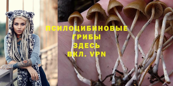 apvp Балабаново