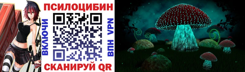 наркотики  Реутов  Псилоцибиновые грибы Psilocybine cubensis 